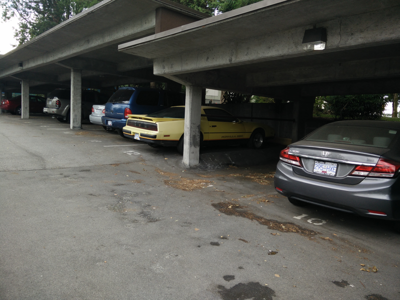 Illustration for article titled Carspotting in Vancouver